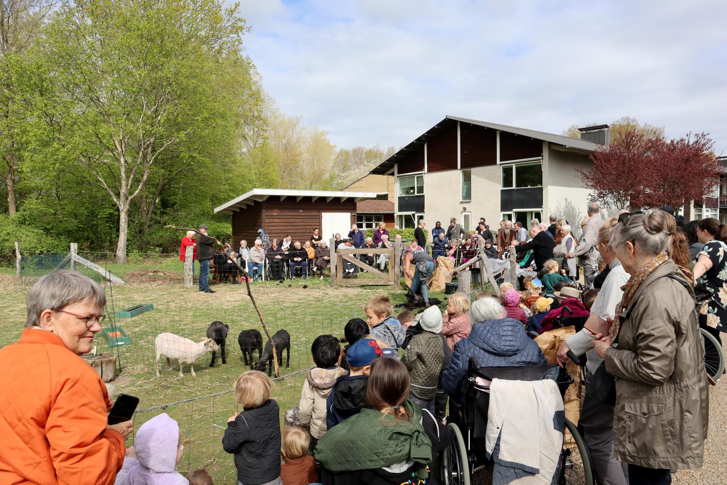 Børn, beboere og personale kigger på fåreklipning i det gode vejr